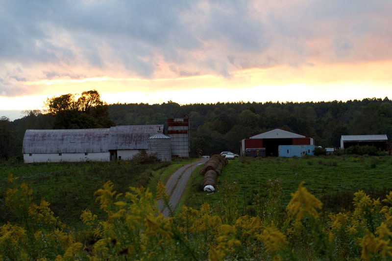 photo of the farm at sunrise